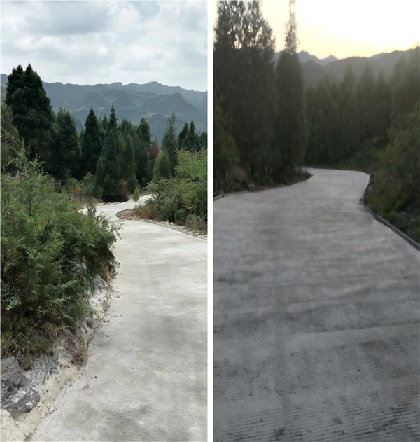 1671072579156654.jpg 修建后_副本.jpg