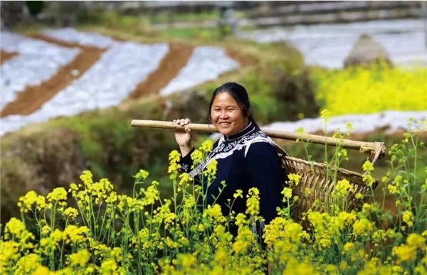 1680743076476518.png 圖片3_副本.png