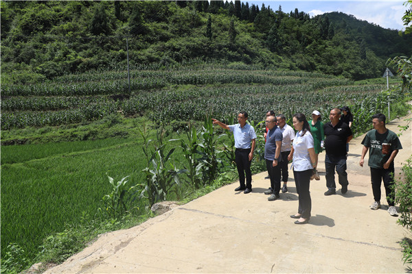 1690248055534767.jpg 6.jpg