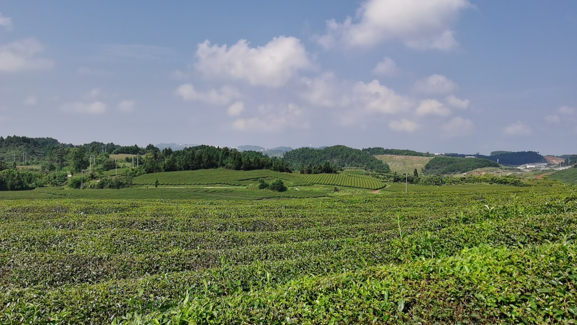 1698128274310752.png 圖片1.png