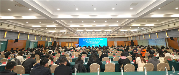 1768287892714322.jpg 1.jpg