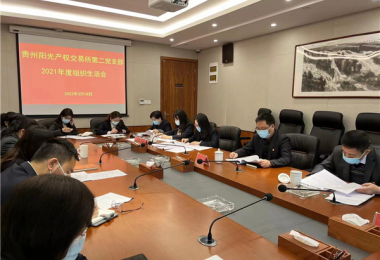 貴州陽光產(chǎn)權(quán)黨委班子督導(dǎo)黨支部組織生活會(huì)