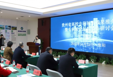 加強知識產(chǎn)權(quán)運營 助力實體經(jīng)濟發(fā)展——貴州省高校專利技術(shù)成果推介會暨專利轉(zhuǎn)化運用研討會圓滿召開