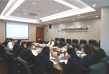 貴州省地方金融監(jiān)管局、貴州證監(jiān)局、貴陽市金融辦到貴州陽光產(chǎn)權(quán)交易所、貴州環(huán)交所開展權(quán)益類交易場所調(diào)研