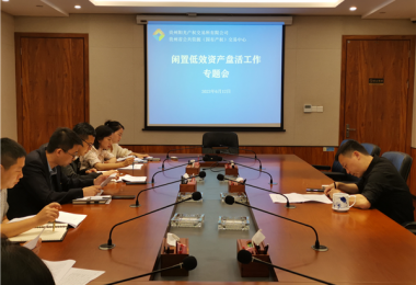 貴州陽光產(chǎn)權(quán)交易所召開閑置低效資產(chǎn)盤活工作調(diào)度會(huì)