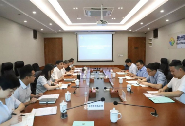 西南聯(lián)合產(chǎn)權(quán)交易所、西藏電子商務(wù)有限公司與貴州陽(yáng)光產(chǎn)權(quán)交易所交流座談會(huì)