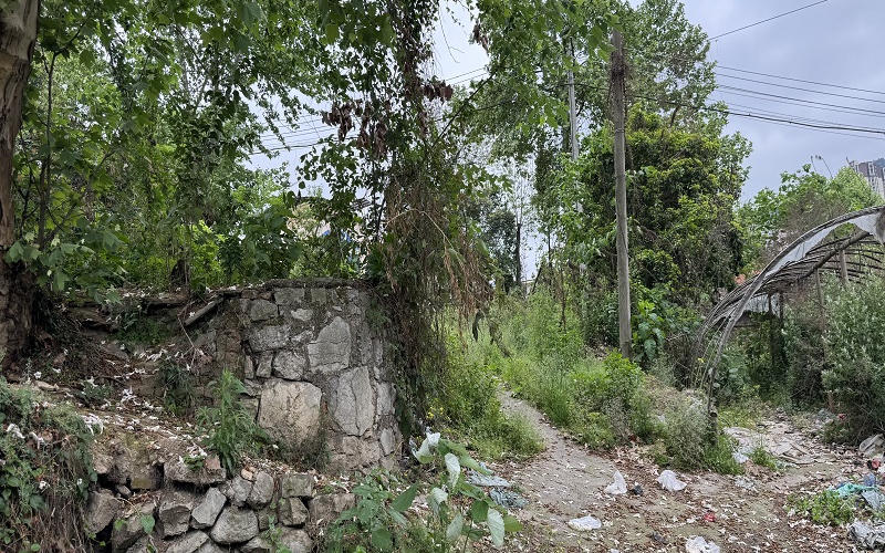 貴州省機關事務管理局國有資產管理服務中心遵義市紅花崗區(qū)桃溪路51號2處資產招租